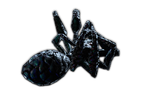 Perfect Spider Matriarch