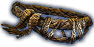 Empyrean Girdle