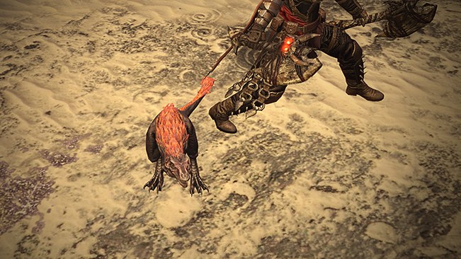 Wasteland Raptor Pet