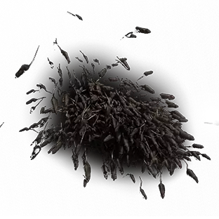 Rat Swarm Dodge Roll Effect