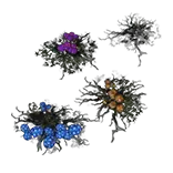 Harvest Seed Footprints Effect
