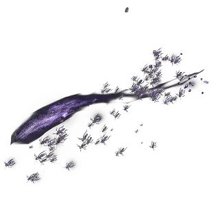 Chaosborn Essence Drain Effect