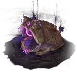 Cane Toad King Portal Effect