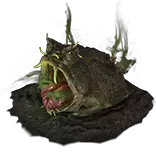 River Toad King Portal Effect