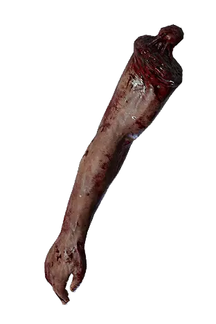 Severed Arm Weapon Skin