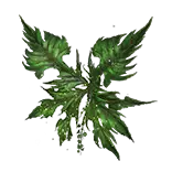 Spring Fae Wings