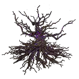 Night Lotus Evertree Map Device