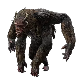 Capuchin Quadrilla Pet