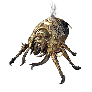 Faridun's Etched Beetle Pet
