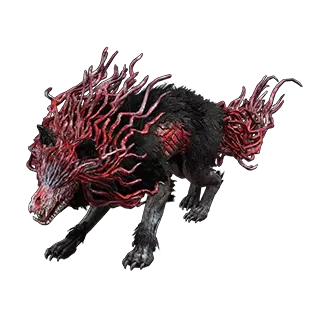 Wolf of Ogham Pet