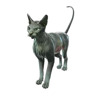 Giant Lucent Sphynx Pet
