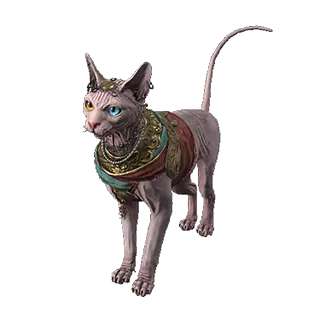 Giant Maraketh Sphynx Pet
