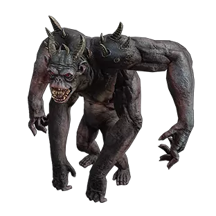 Hairless Quadrilla Pet